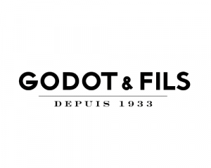 logo-godot-fils